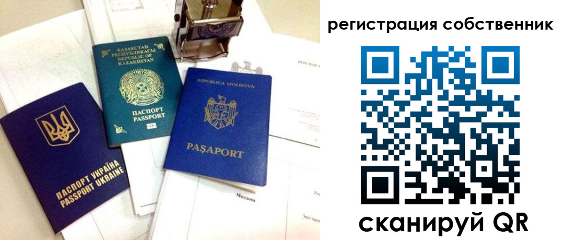 временная регистрация поиск в Мытищах